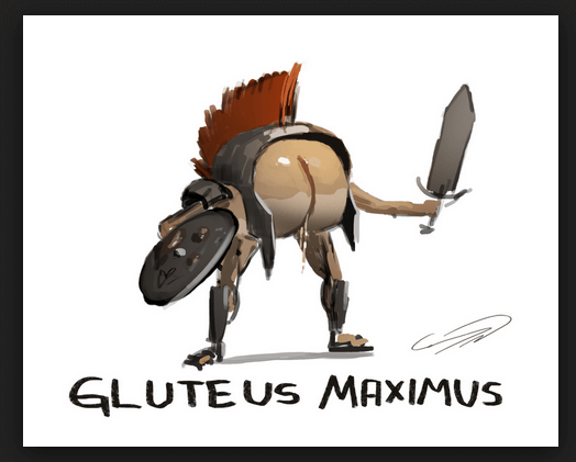 The Glutes